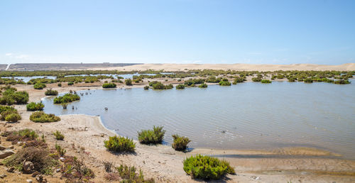 Scenic view of sea against clear sky