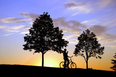 Silhouette tree on field against sky during sunset