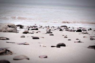 Pebbles on beach against sky