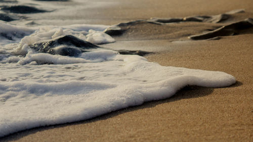 Surface level of sandy beach