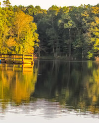 Scenic view of lake by trees against sky