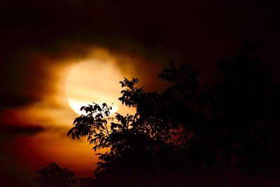 Low angle view of silhouette tree against sky at sunset