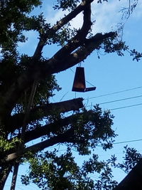 Low angle view of tree against sky