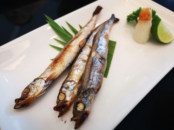 High angle view of fish in plate on table