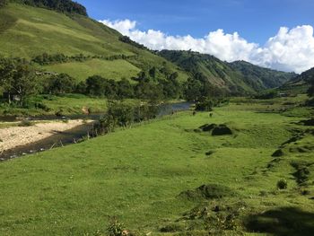 Scenic view of landscape against sky