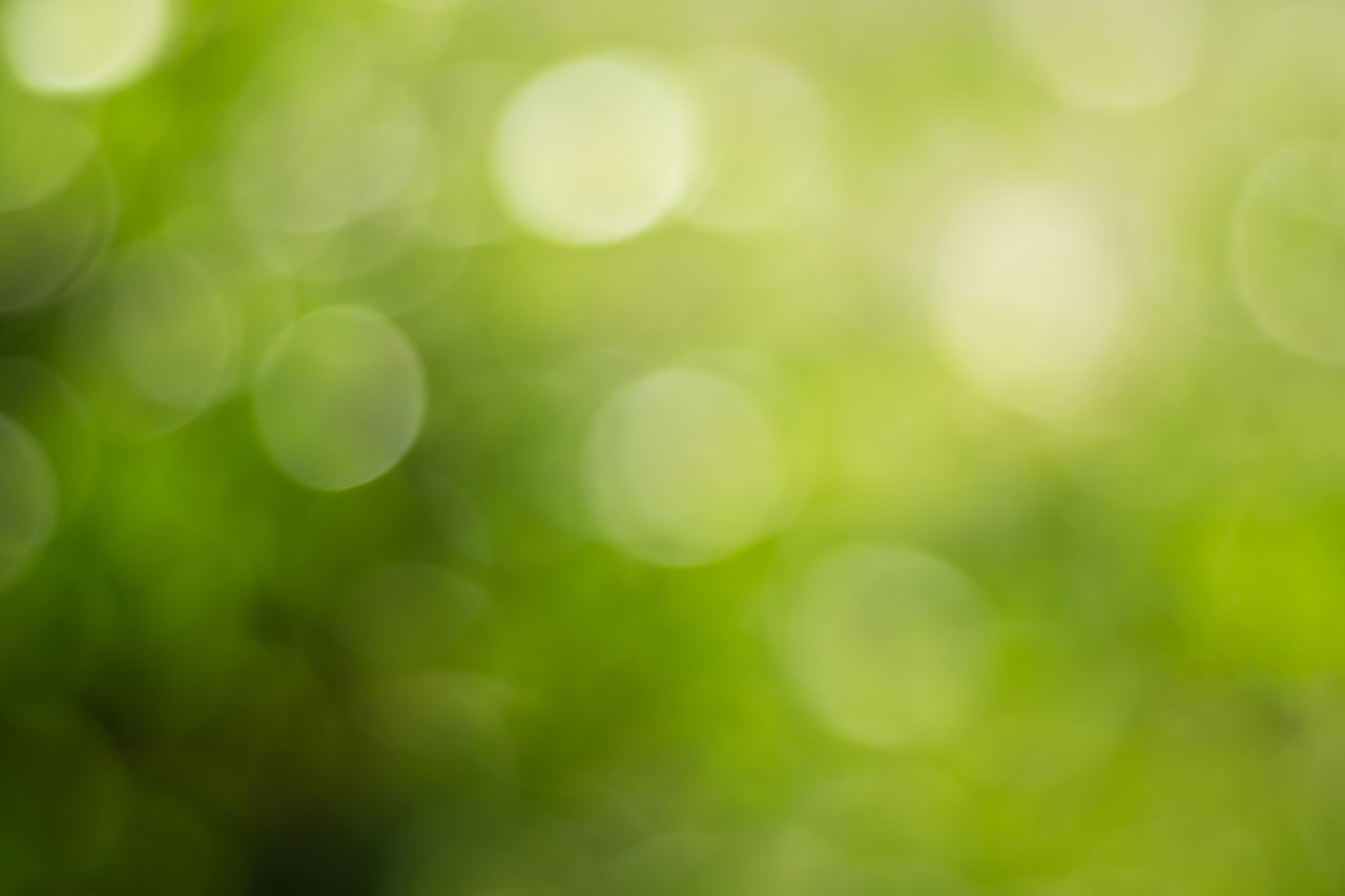 DEFOCUSED IMAGE OF A GREEN PLANT