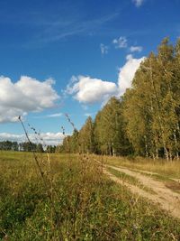 Trees on field against sky