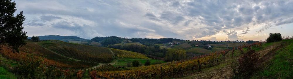 Panoramic view of agricultural field against sky