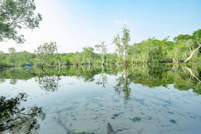 Scenic view of lake against sky