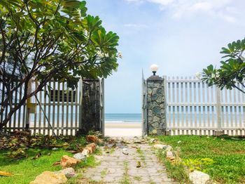 Bird perching on tree by sea against sky