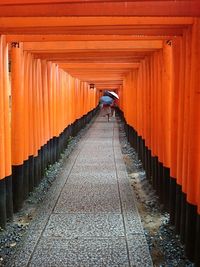 Rear view of woman walking amidst torii gate at shrine
