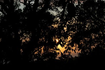 Silhouette trees in forest against sky