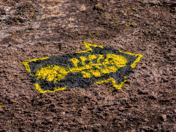 High angle view of yellow arrow symbol on road