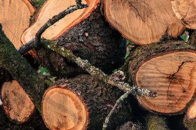 Full frame shot of logs