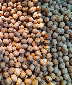 The natural texture of the walnut background in the shell is close-up.
