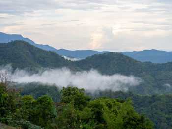 environment