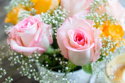 Close-up of pink roses