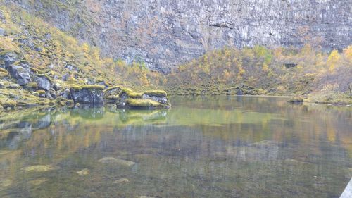 Reflection of trees in lake