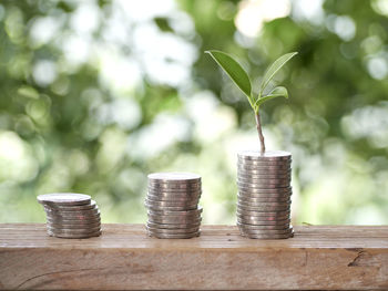 Stack of coins on table against trees