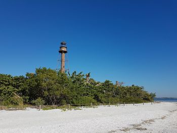 Plants growing by sea against clear blue sky