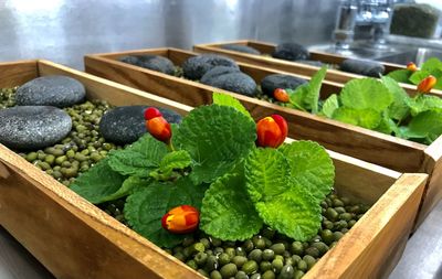 High angle view of fruits in container