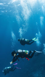 Divers descending into the blue at the great barrier reef