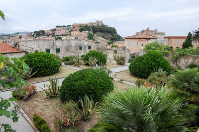 High angle view of trees and buildings in town