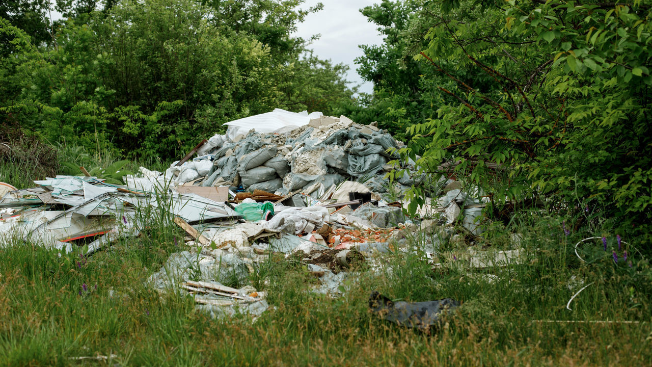 VIEW OF ROCKS AND PLANTS ON LAND