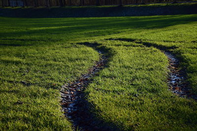 Scenic view of grassy field against sky