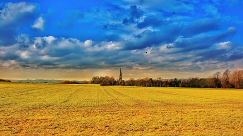 Scenic view of field against sky