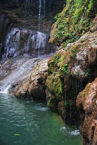 Scenic view of waterfall in forest