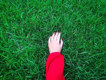 Cropped hand of woman touching grass on field