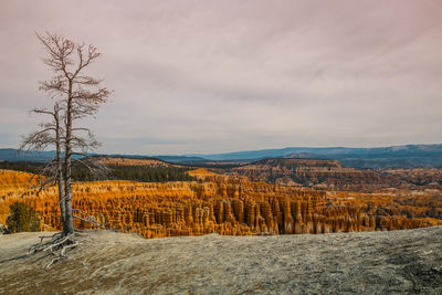 Scenic view of landscape against sky during winter