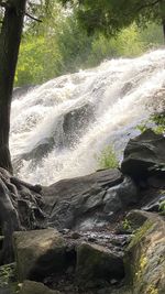 Scenic view of waterfall in forest