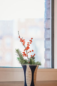 Close-up of potted plant against window