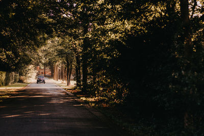 Rear view of man walking on road