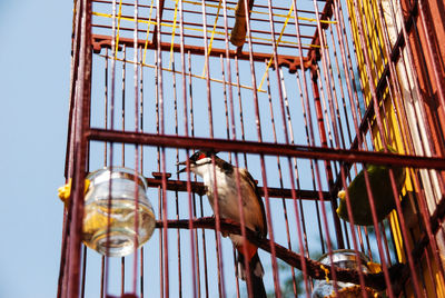 Low angle view of bird perching in cage against sky