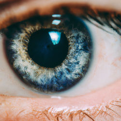 Close-up of human eye