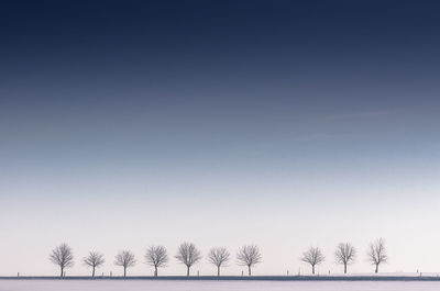 Bare trees on snow covered landscape against clear sky