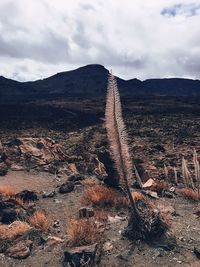 Aerial view of landscape against sky