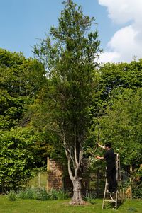 Man standing by tree against sky