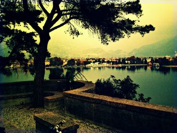 View of river with trees in background
