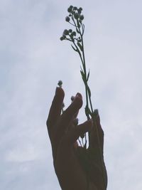 Low angle view of hand against sky