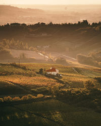 Scenic view of agricultural field against sky during sunset