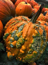 High angle view of pumpkins for sale at market stall