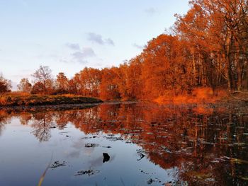 Reflection of trees in lake against sky during autumn