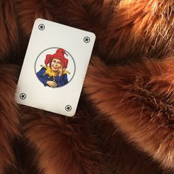 High angle view portrait of cat on table