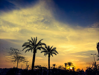 Low angle view of silhouette palm trees against sky during sunset