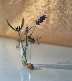 Close-up of wilted flower in vase against wall