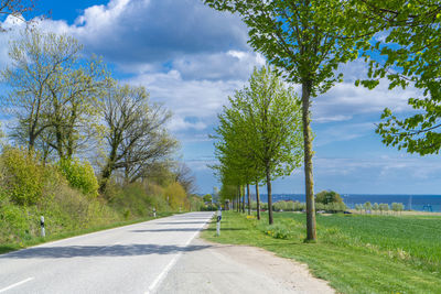 Road amidst trees against sky